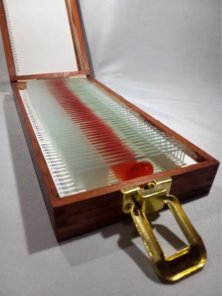 Scatola vetrini Dexter Morgan