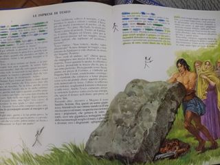 libri illustrati ragazzi miti oro