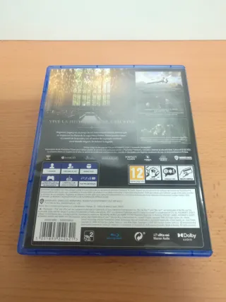 HOGWARTS LEGACY PS4 (PS4)