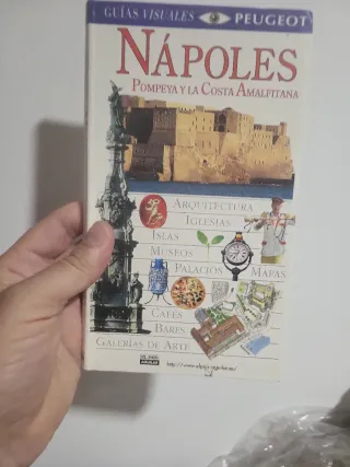 Guía napoles guía