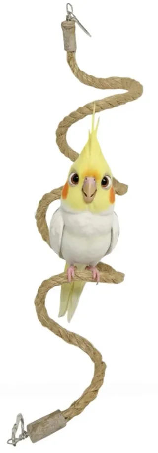 Pack para agapornis/pájaros/periquitos/loros