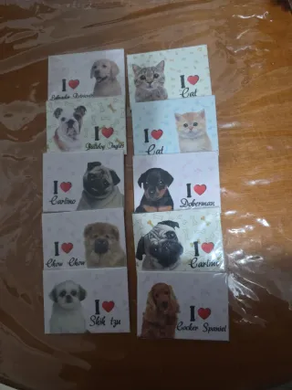 Magneti di cani e gatti