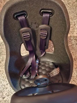 Thule Yepp Nexxt 2 Mini Silla Infantil