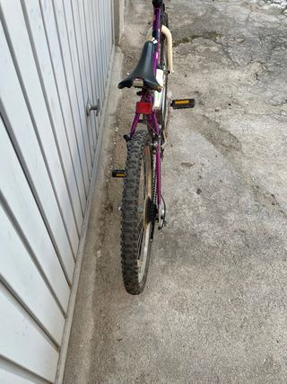 Bicicleta Infantil 24 Morada