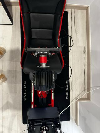 Playseat F1 - Simulador de Conducción Profesional