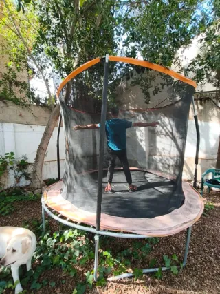 Colchoneta elástica con red de seguridad