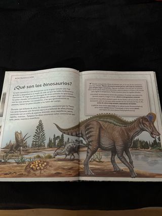El magnífico libro de los dinosaurios (Spanish ...