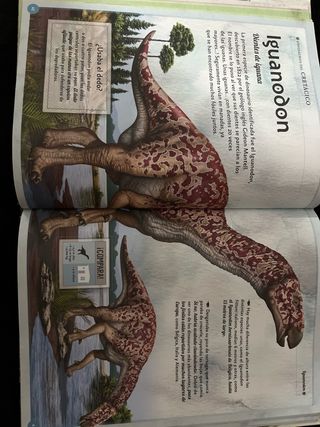 El magnífico libro de los dinosaurios (Spanish ...