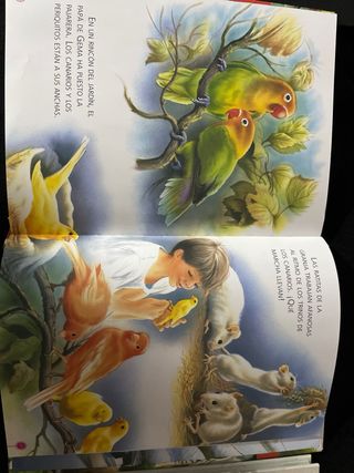 El magnífico libro de los dinosaurios (Spanish ...