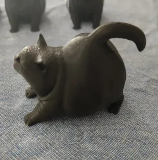 Gatto  Cicciottello