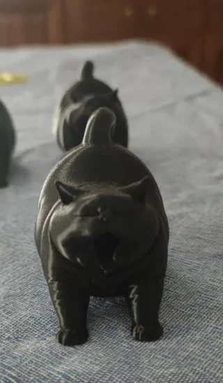 Gatto  Cicciottello