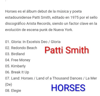 4x3 Patti Smith Horses