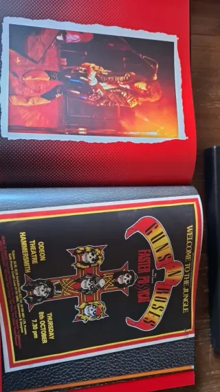 Guns N' Roses Appetite for Destruction