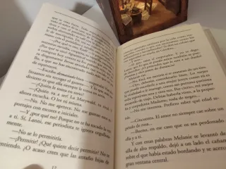 Libro adúltera
