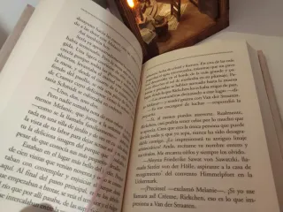 Libro adúltera