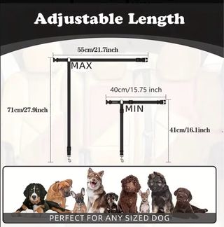 Guinzaglio per auto cane
