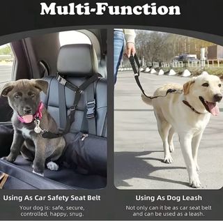 Guinzaglio per auto cane