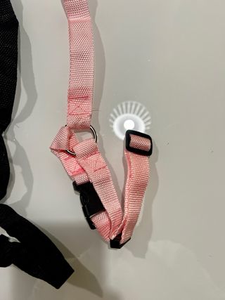 Guinzaglio per auto cane