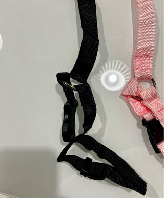 Guinzaglio per auto cane
