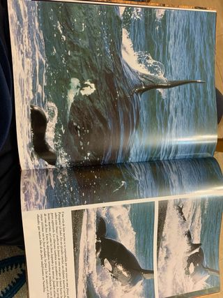 2 Libros “El Reino Animal”