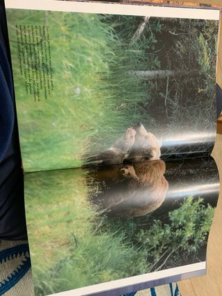 2 Libros “El Reino Animal”