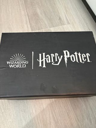 Zapatillas Harry Potter Edición Limitada