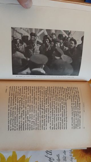 Libro Vintage L'Italia al Polo Nord