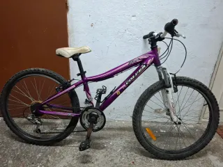 Bicicleta Coluer 240 Morada