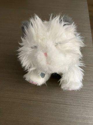 Little Live Pets Gatito Dormilón