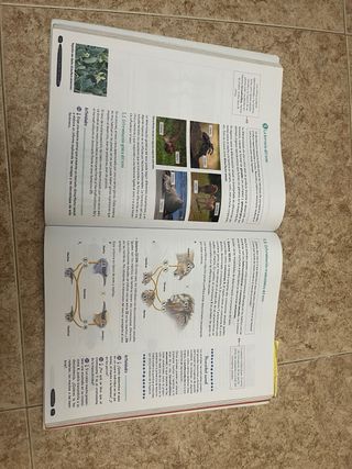 Biología y Geología 4º ESO. GENiOX Libro del Al...