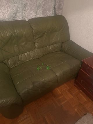 Sofá de 2 plazas verde