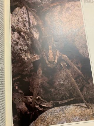 Libro Guia De La Naturaleza