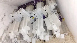 Luces Cultivo Indoor 1000W Regulables