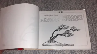 Libro Bonsái: La Obra de Arte Vivo 1987 ver fotos