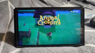 Animal Crossing New Horizons Nintendo Switch