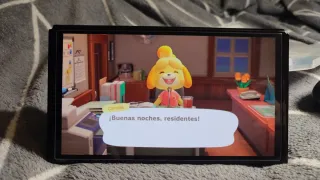 Animal Crossing New Horizons Nintendo Switch