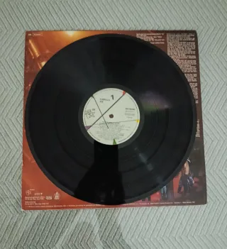 Vinilo Vanilla Ice Live