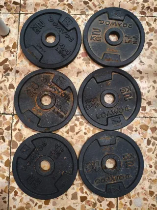 Pack Pesas Ejercicio 11 lbs y 5 lbs