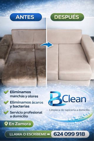 Limpieza del tapicería