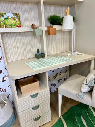 Escritorio infantil/juvenil con estantería