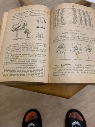 Libro Enciclopedia  ciclico Pedagogica