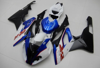 CARENADO PINTADO BMW S1000R 2015-2016.