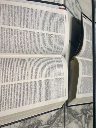 Biblia Reina Valera 1960