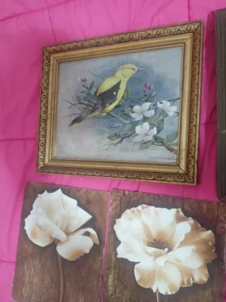 Set di 12 quadri vintage