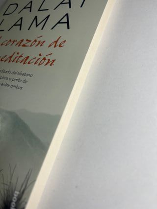 El corazón de la meditación