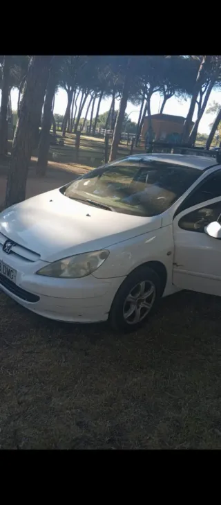 Peugeot 206 2005