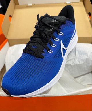 Nike Air Zoom Pegasus 39