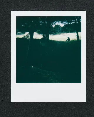 3 Cartucce Polaroid i-Type Color 09/25 24 foto