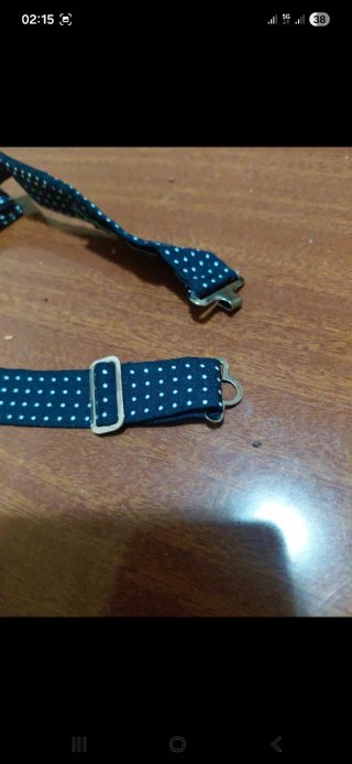 Papillon blu con pois bianchi