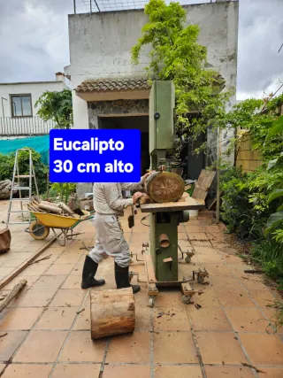 Sierra de cinta con volante de 60 cm